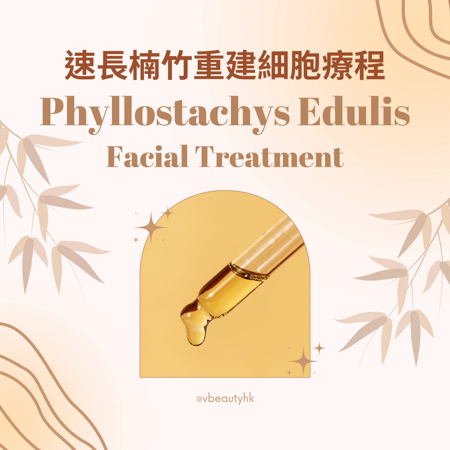 本頁圖片/檔案 - Phyllostachys Edulis Facial Treatment