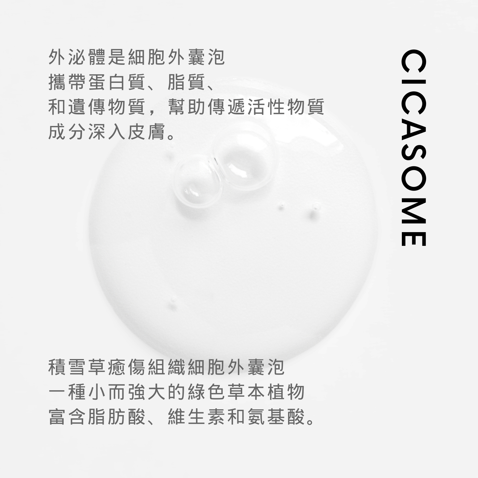 本页图片/档案 - Cicasome - C1